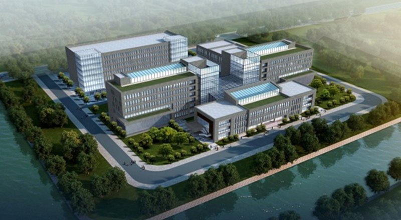 沈阳网站建设：选择专业团队 vs 独立开发者